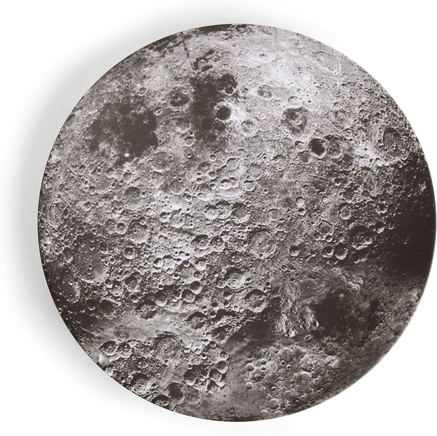 Serving platter Earth/Moon 36cm | Kikkerland