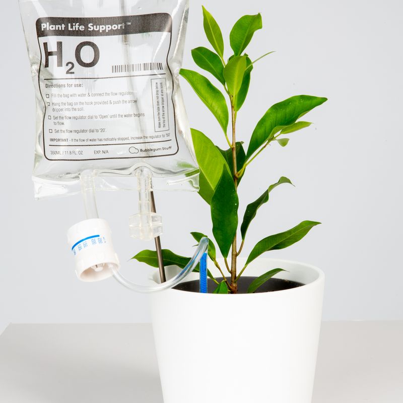 Plante Life Support