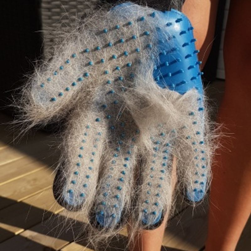 Glove Brush - Removes & Collects Hair Effectively