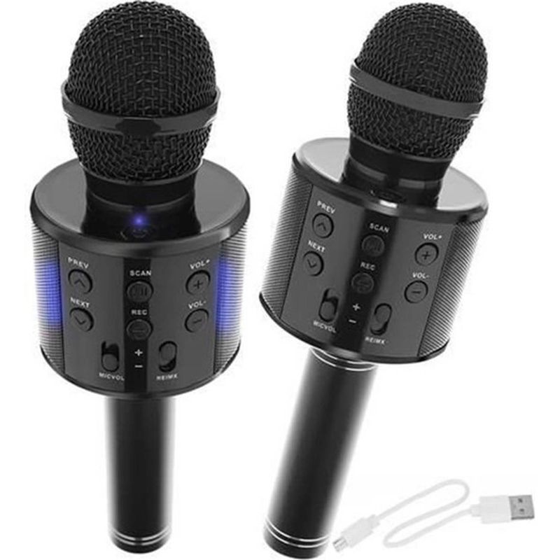 Microphone Karaoke Bluetooth Speaker