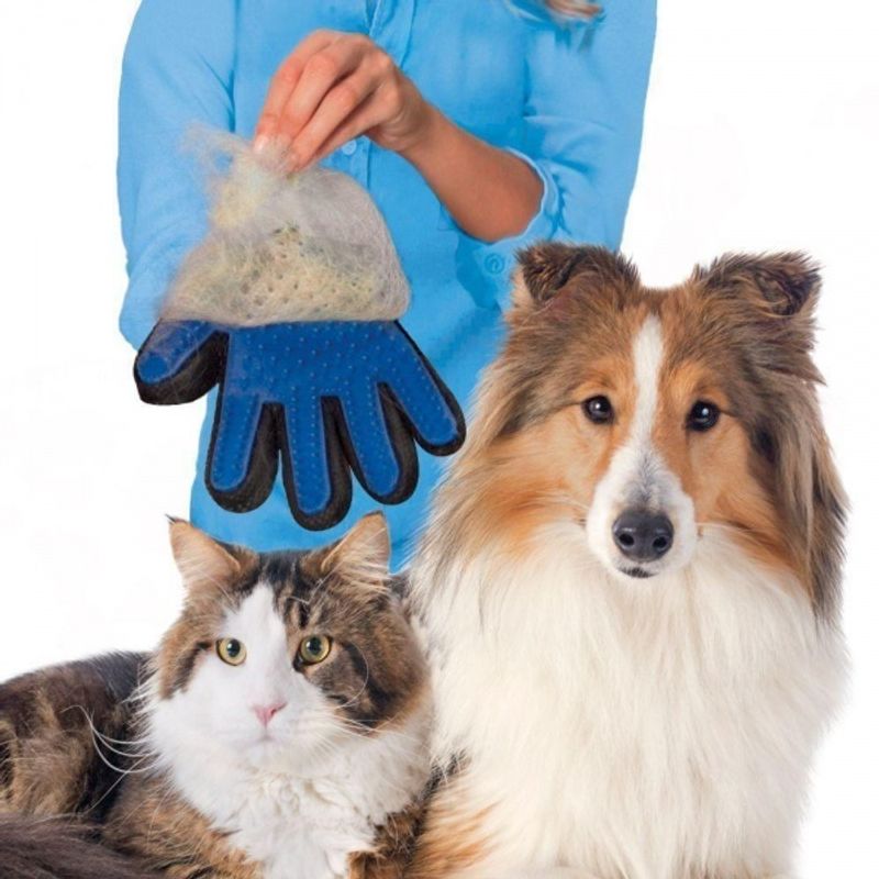 Glove Brush - Removes & Collects Hair Effectively