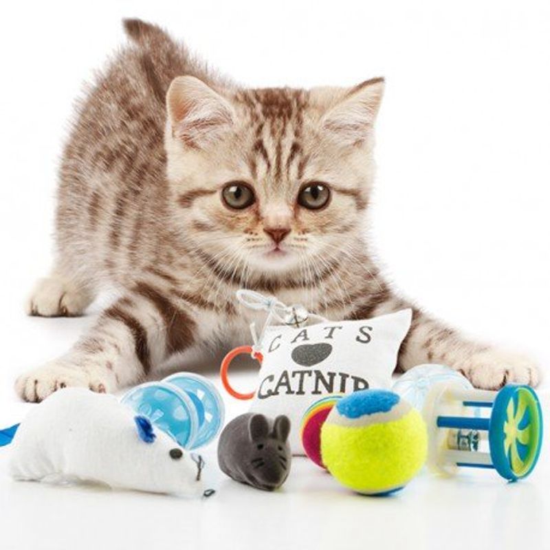 Cat toy set 8 pieces