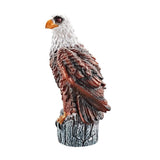 Fugl med Lyd 17–21cm | 6 Varianter