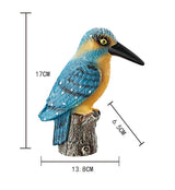 Fugl med Lyd 17–21cm | 6 Varianter