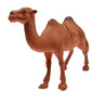 Wild Animals - 12 Different