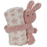 Blanket &amp; Teddy Bear - 3 different