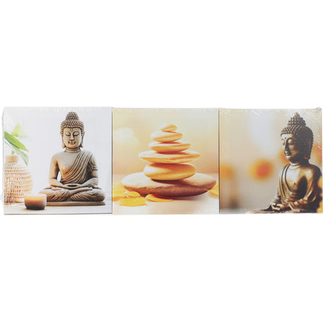 Canvas 3 pictures 20x20cm | 3 ass