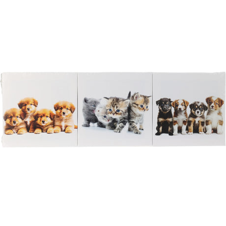 Canvas 3 pictures 20x20cm | 3 ass