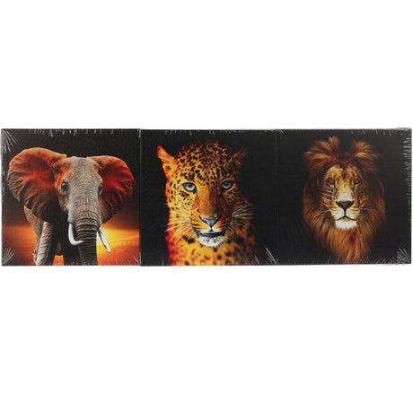 Canvas 3 pictures 20x20cm | 3 ass