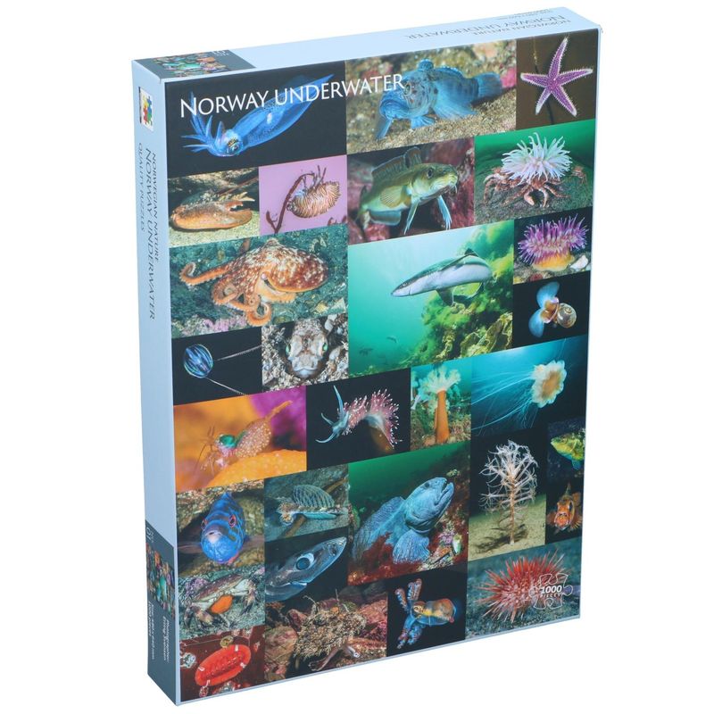 Norway Underwater Puzzle 1000 Pieces
