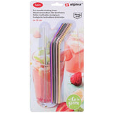 Alpina Stainless Steel Straws | 4pk with washing brush