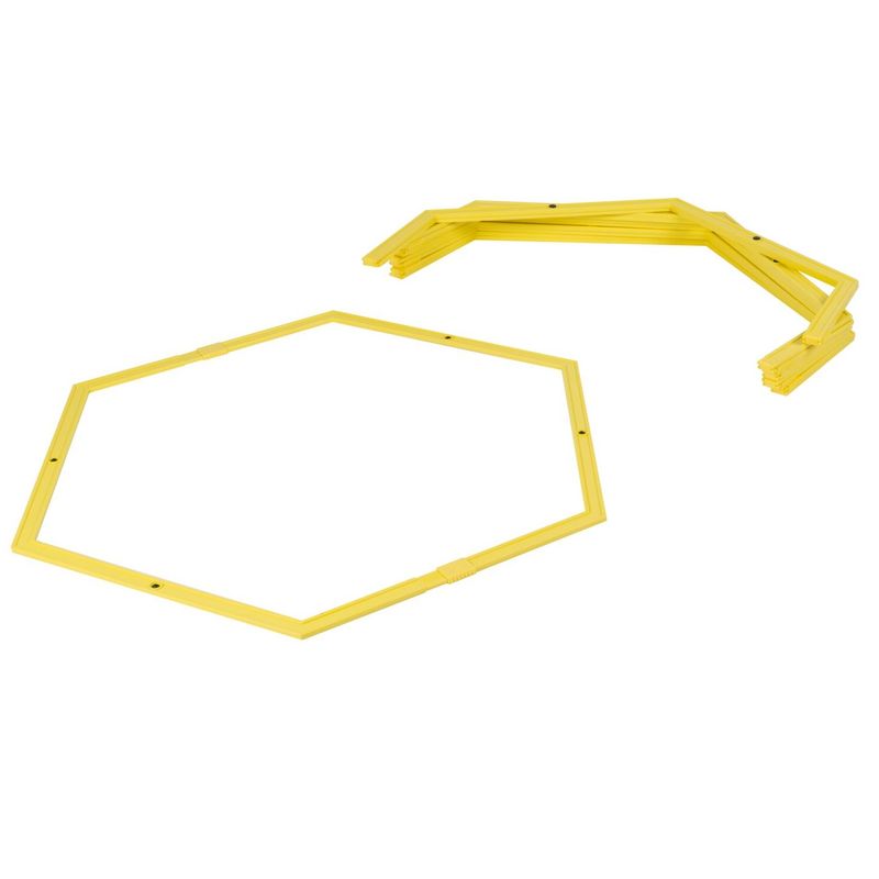 Dunlop Hexagonal Coordination Ladder 6pcs