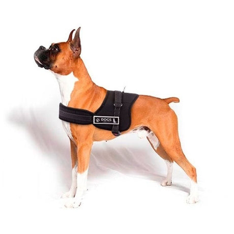Hundesele L (70-90cm)