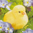 Servietter Påskekylling 20pk 3 - lags | 33x33cm | Unik