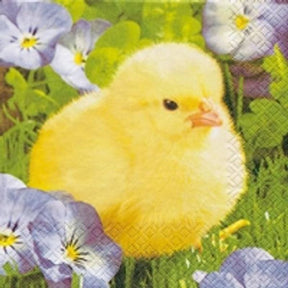 Servietter Påskekylling 20pk 3 - lags | 33x33cm | Unik