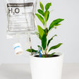 Plante Life Support