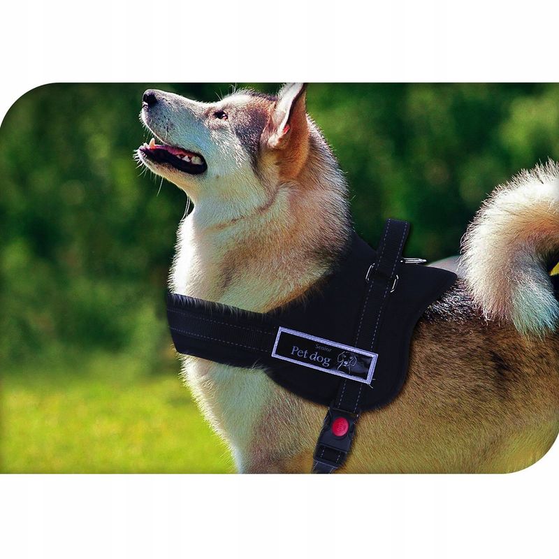 Dog harness S/M/L