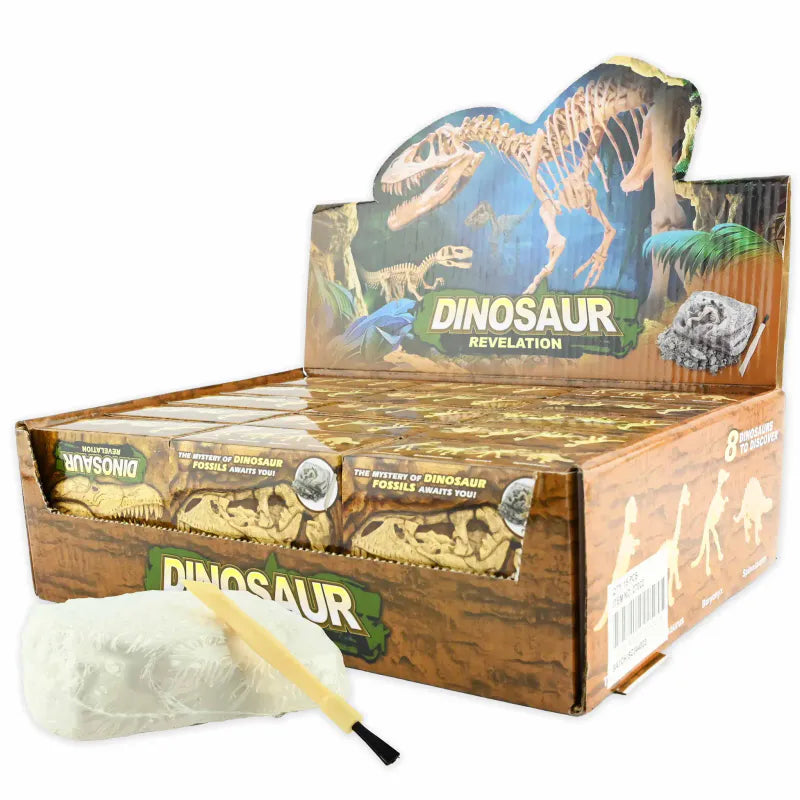 Dig It Out Dinosaur Skeleton | Dinosaur Excavation Kit