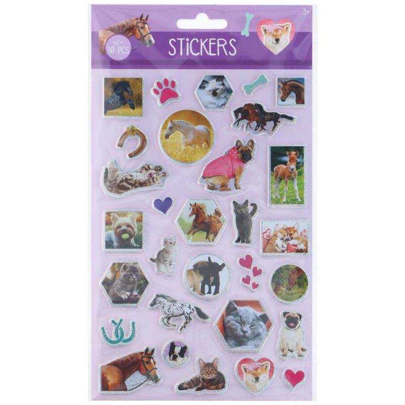 Thick Stickers with Glitter 25x14cm | 6 varieties