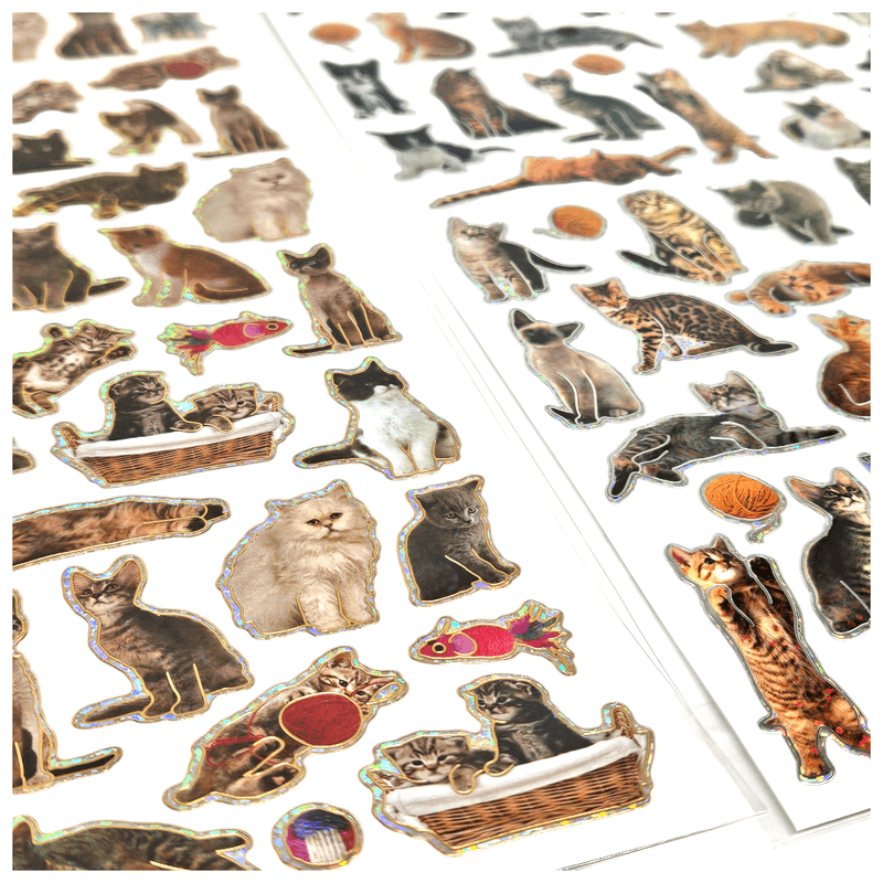 Stickers Cats Shiny 70pcs