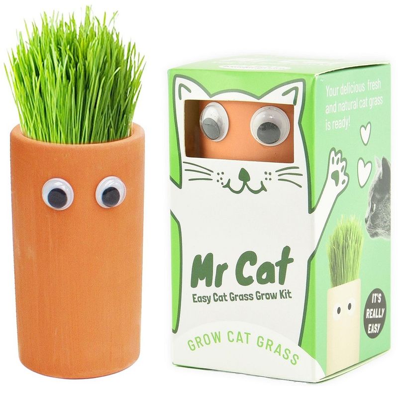 Mr. Cat Easy Cat Grass Grow Kit