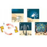 Jumping Spiders Game for Kids