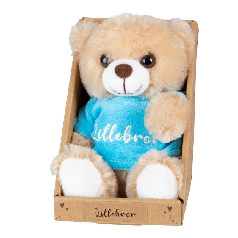 Teddy Bear Little Brother