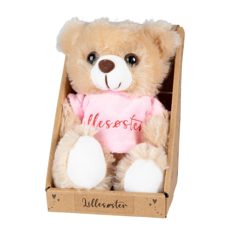 Teddy Bear Little Sister