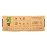 Plante Life Support