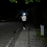2i1 COB LED - hodelykt med oppladbart batteri